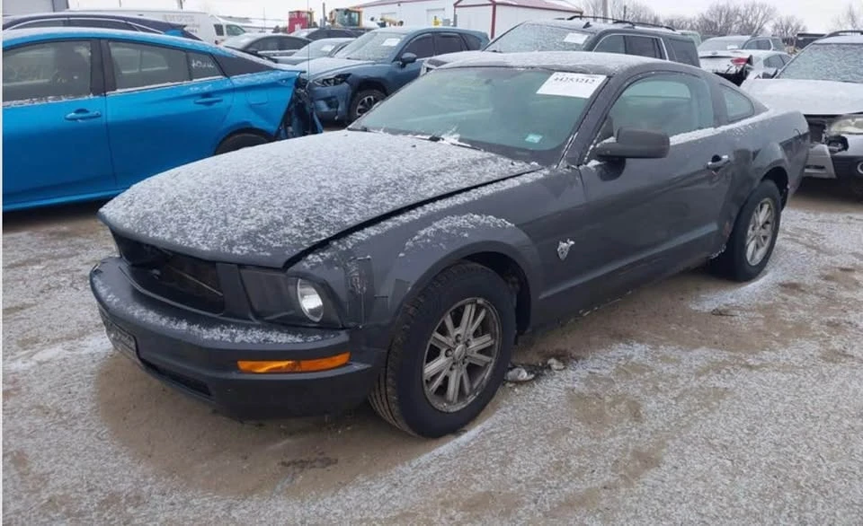 2009 Ford S197 Mustang - Image 4 of 5