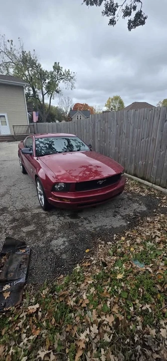 2009 Ford S197 Mustang - Image 2 of 5