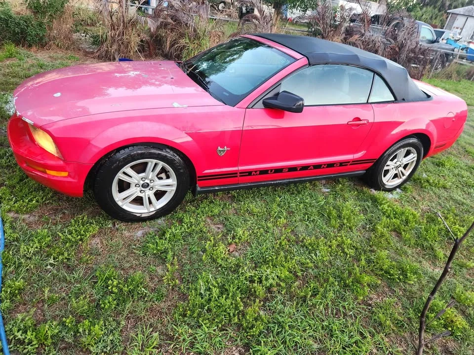 2009 Ford S197 Mustang - Image 4 of 8