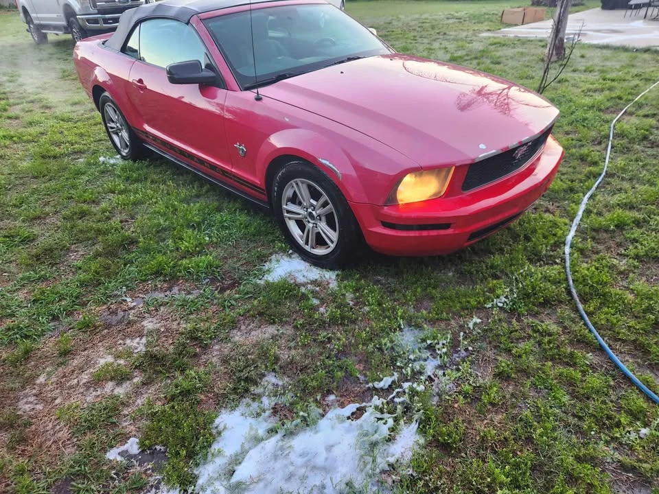 2009 Ford S197 Mustang - Image 3 of 8