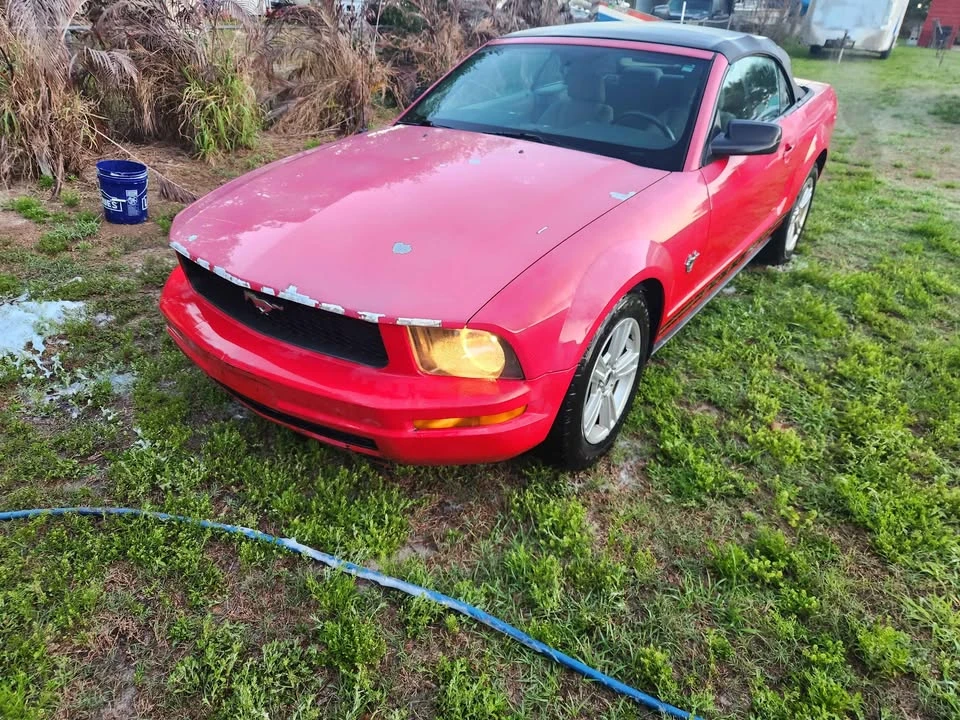 2009 Ford S197 Mustang - Image 5 of 8