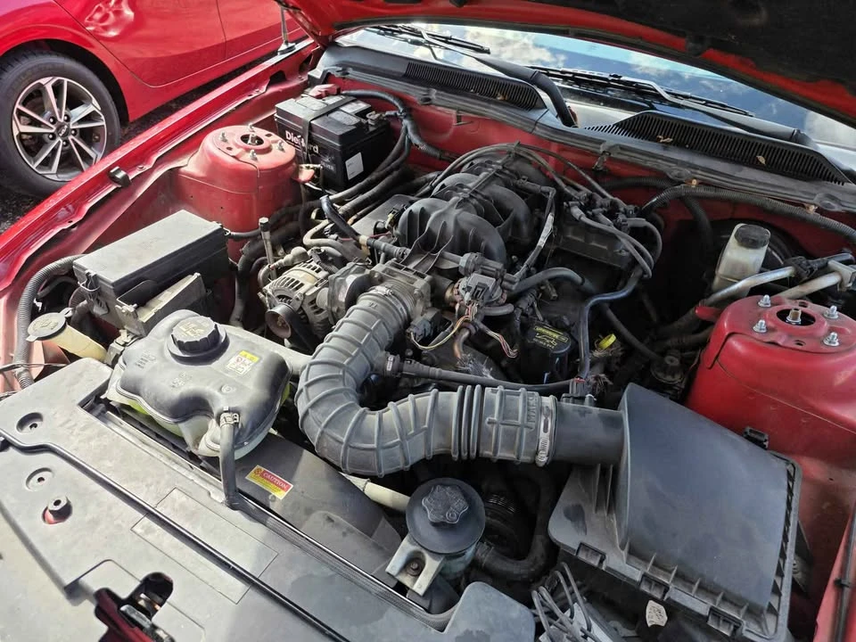 2009 Ford S197 Mustang - Image 13 of 13