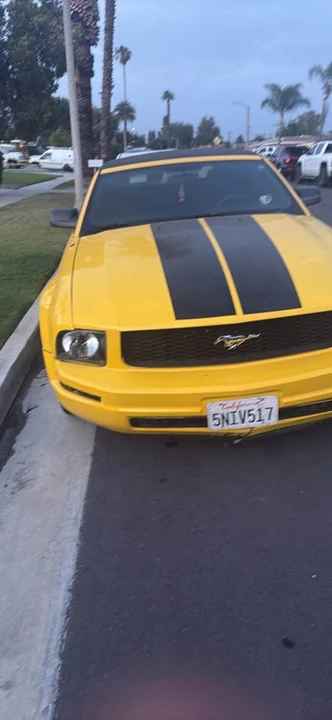 2009 Ford S197 Mustang - Image 2 of 4