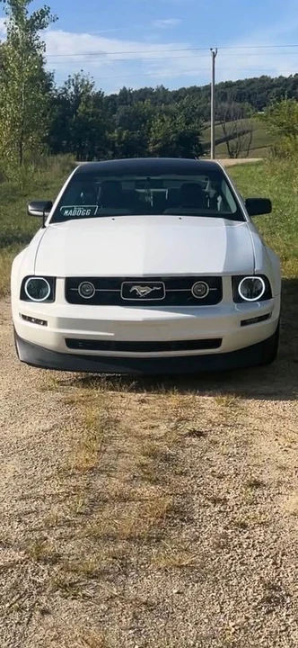 2009 Ford S197 Mustang - Image 4 of 11