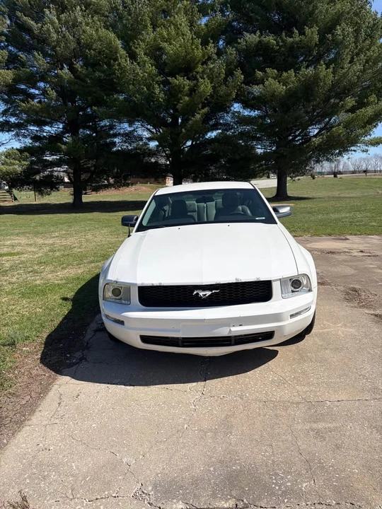 2009 Ford S197 Mustang - Image 5 of 7