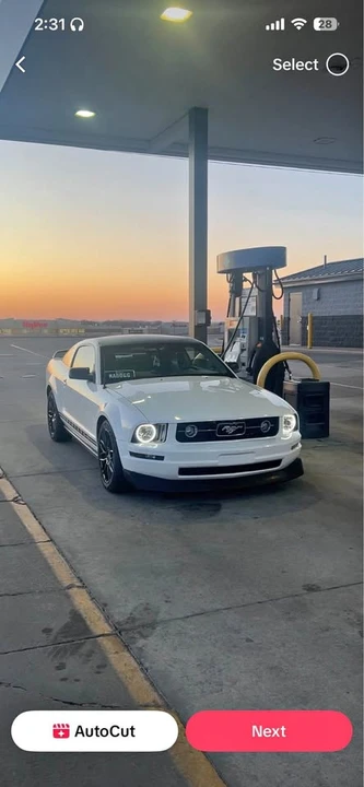 2009 Ford S197 Mustang - Image 2 of 11