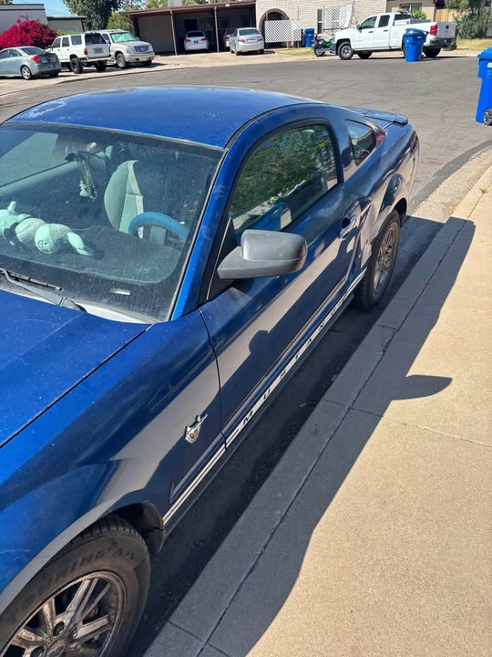 2009 Ford S197 Mustang - Image 3 of 4