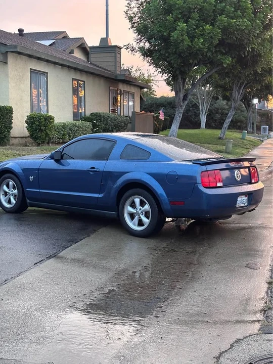 2009 Ford S197 Mustang - Image 2 of 13
