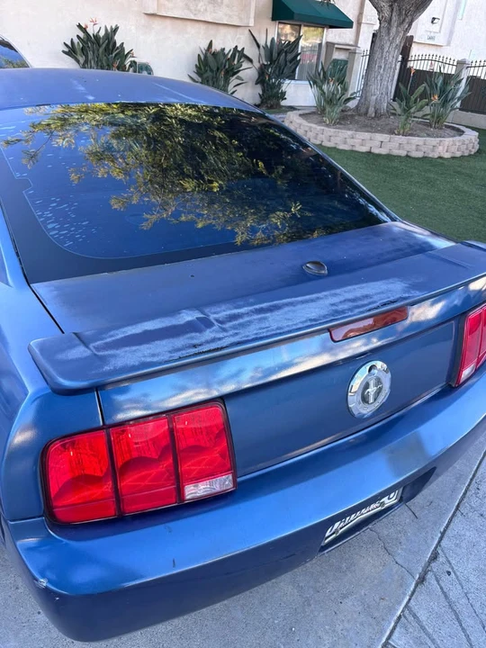2009 Ford S197 Mustang - Image 11 of 13