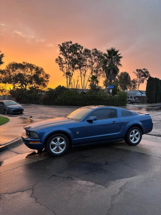 2009 Ford S197 Mustang - Image 4 of 13