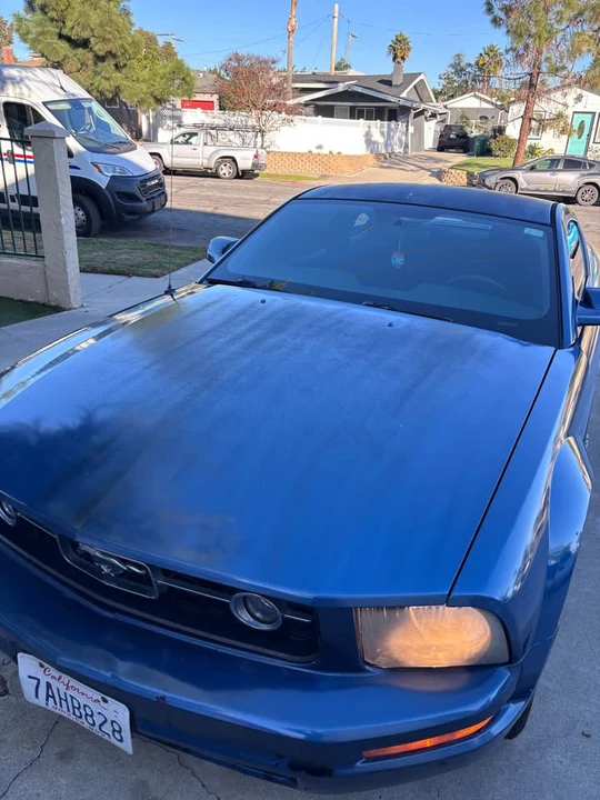 2009 Ford S197 Mustang - Image 12 of 13