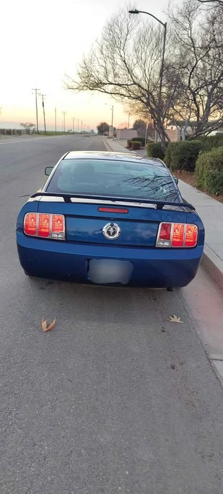 2009 Ford S197 Mustang - Image 4 of 9