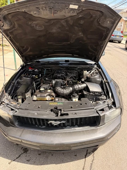 2009 Ford S197 Mustang - Image 16 of 17