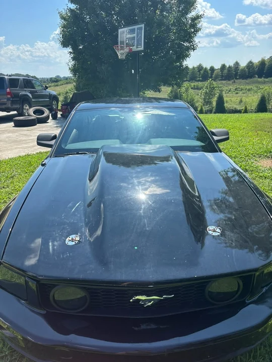 2009 Ford S197 Mustang - Image 13 of 14