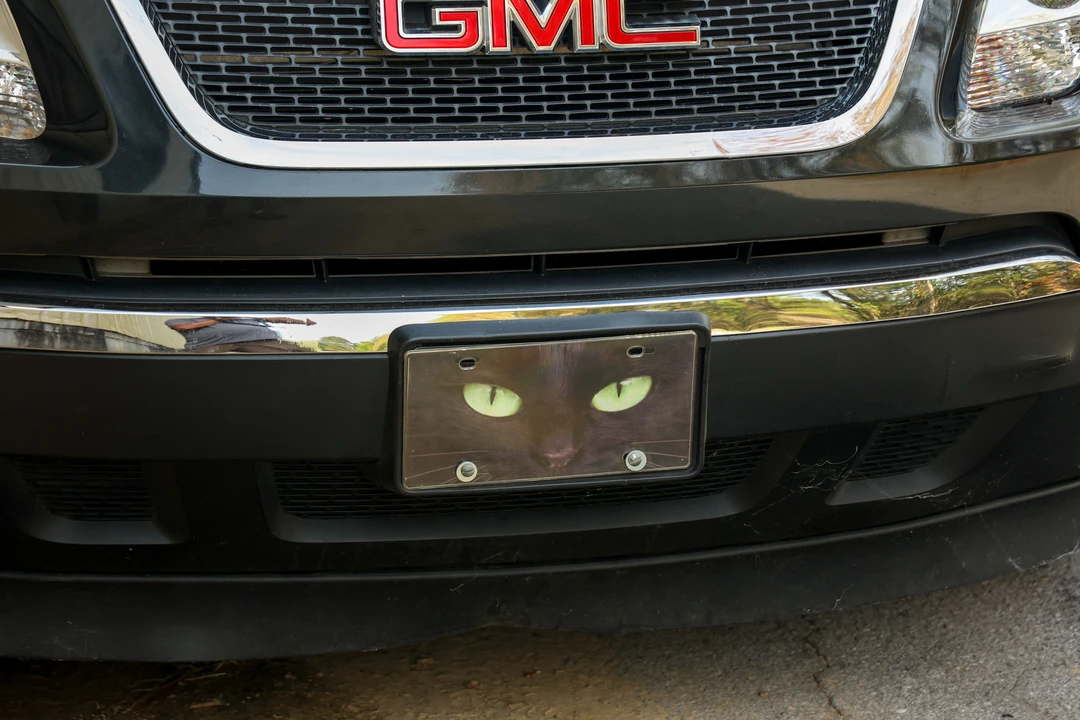2009 GMC Acadia - Image 28 of 31