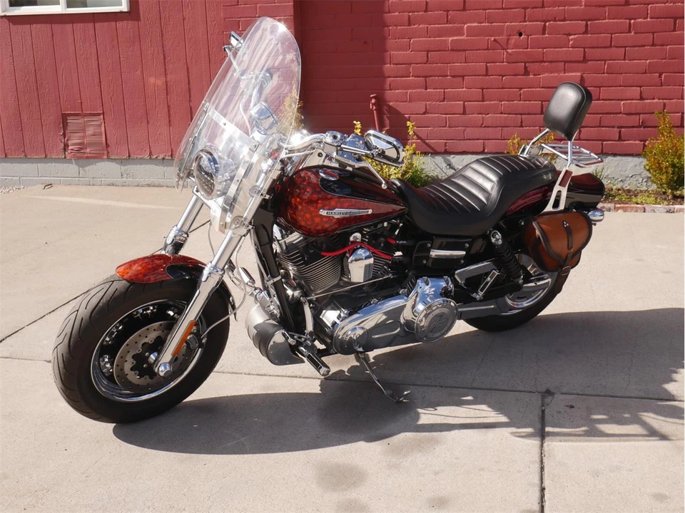 2009 Harley-Davidson Softail - Image 2 of 24