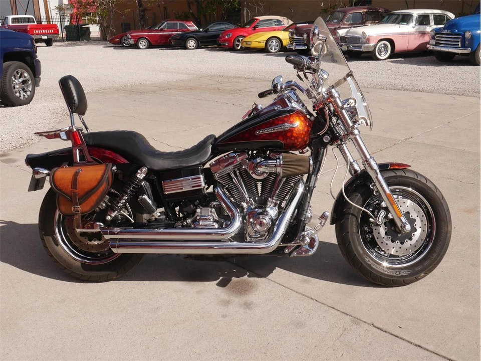 2009 Harley-Davidson Softail - Image 6 of 24