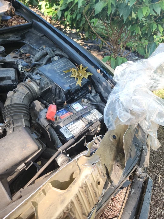 2009 Honda Accord 8th Gen - Image 7 of 12