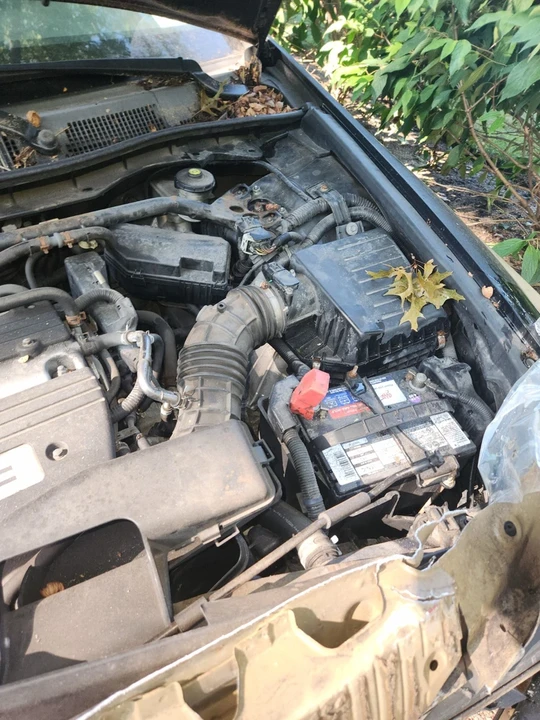 2009 Honda Accord 8th Gen - Image 8 of 12