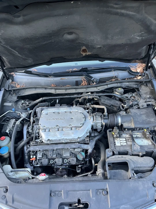 2009 Honda Accord 8th Gen - Image 19 of 21