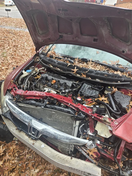 2009 Honda Civic 8th Gen - Image 4 of 5