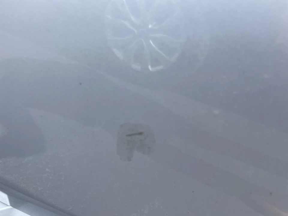 2009 Honda Element - Image 19 of 31