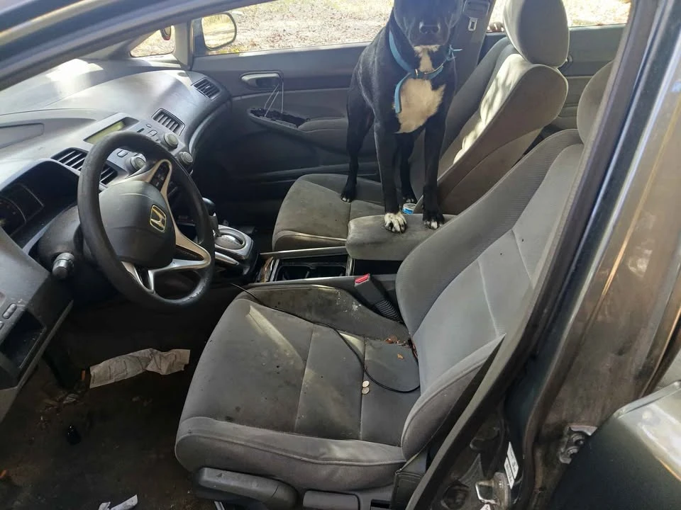 2009 Honda Civic 8th Gen - Image 4 of 4