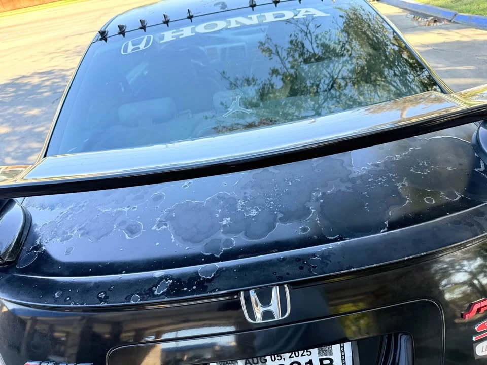 2009 Honda Civic 8th Gen - Image 7 of 12