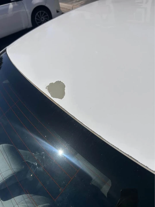 2009 Honda Civic 8th Gen - Image 12 of 12