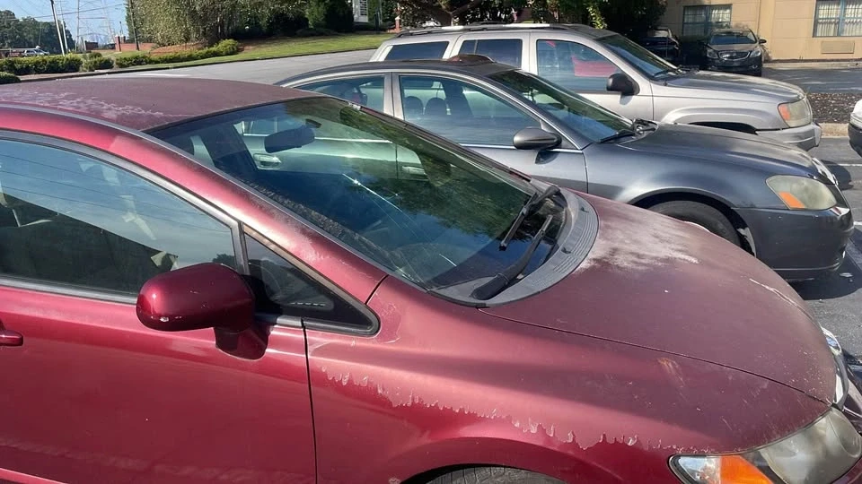 2009 Honda Civic 8th Gen - Image 7 of 13