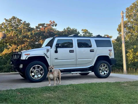 2009 Hummer H2 Limited Ed Sport Utility 4D
