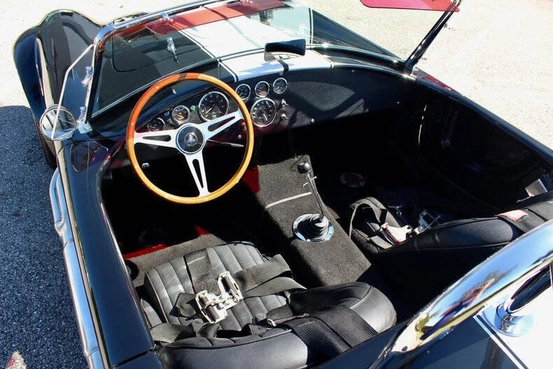 2009 Shelby Cobra Replica - Image 19 of 21