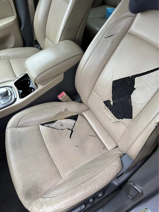 2009 Hyundai Genesis - Image 5 of 5