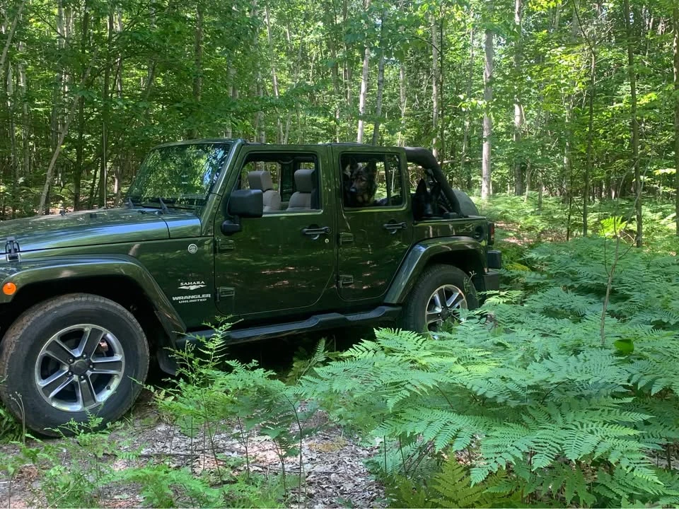 2009 Jeep JK Wrangler - Image 5 of 6