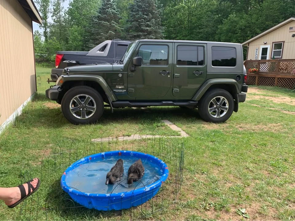 2009 Jeep JK Wrangler - Image 2 of 6