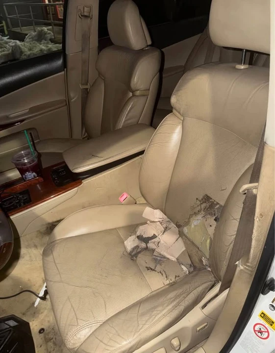 2009 Lexus GS 3rd Gen - Image 9 of 12
