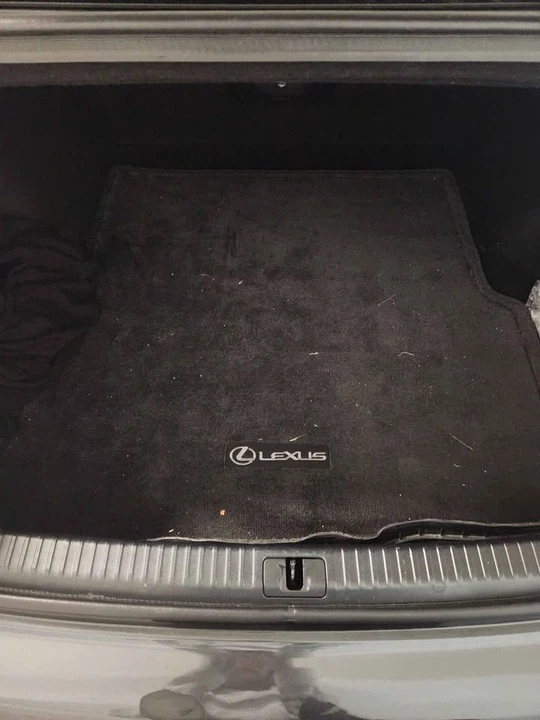 2009 Lexus IS - Image 10 of 12