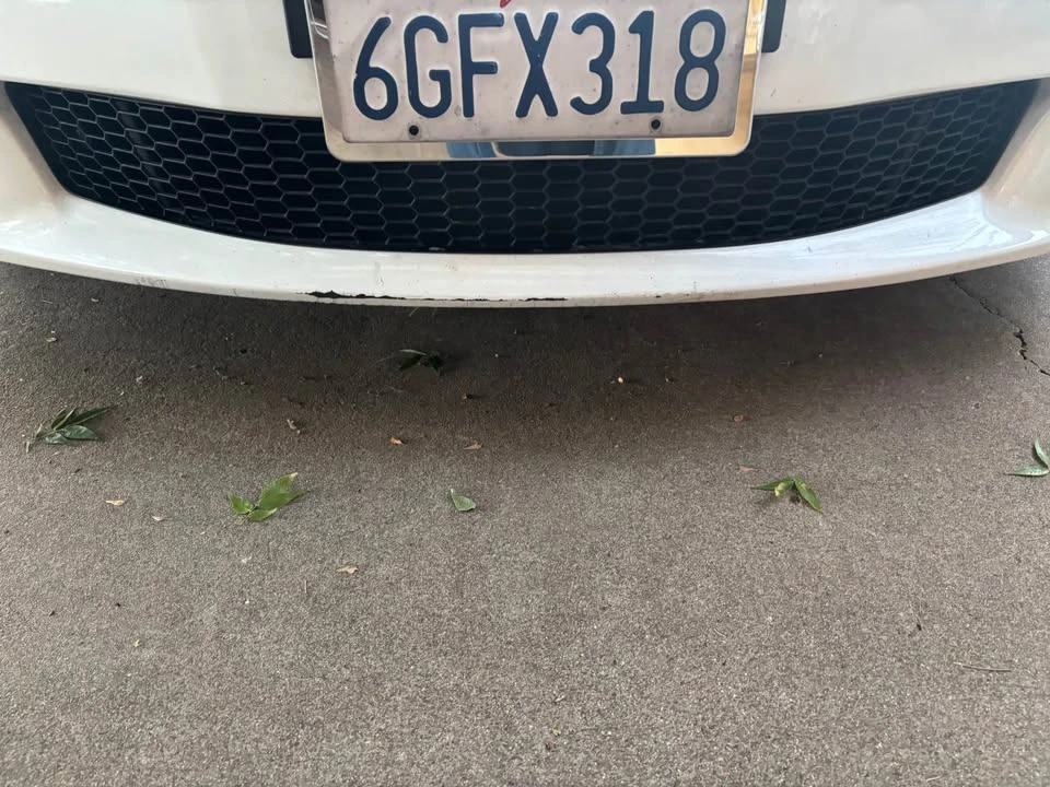 2009 Lexus IS 2nd Gen - Image 13 of 20