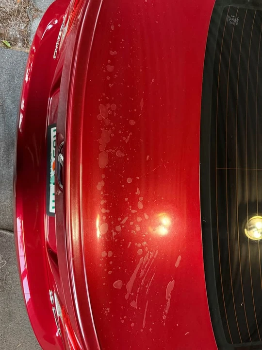 2009 Lexus IS 2nd Gen - Image 7 of 14