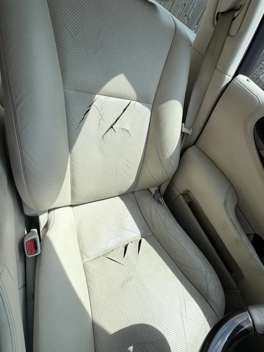 2009 Lexus LS 4th Gen - Image 9 of 16