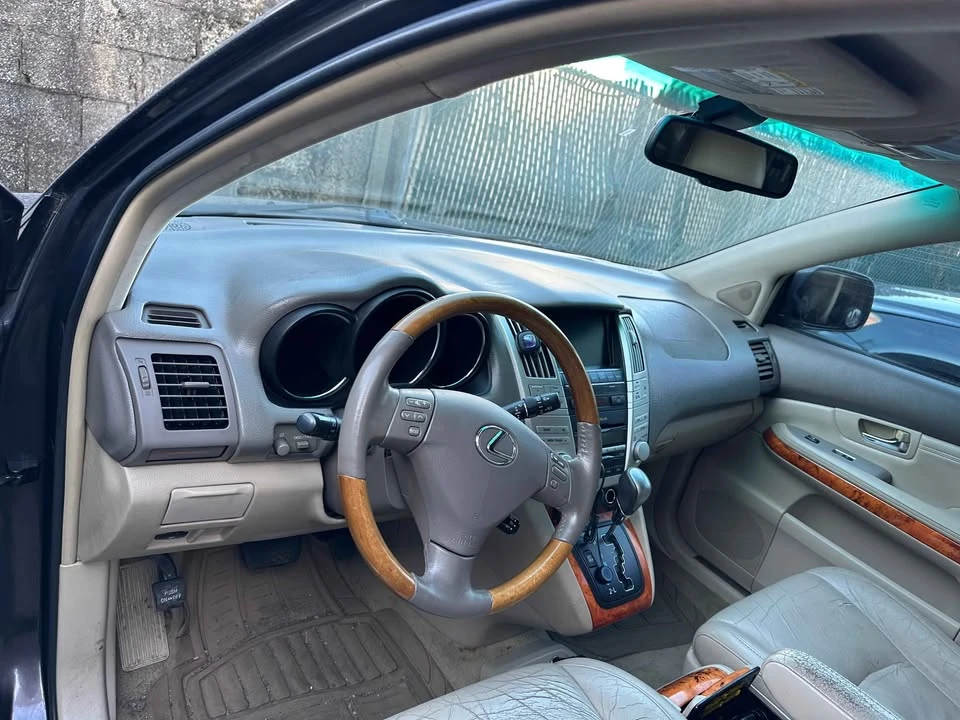 2009 Lexus RX 2nd Gen - Image 10 of 11