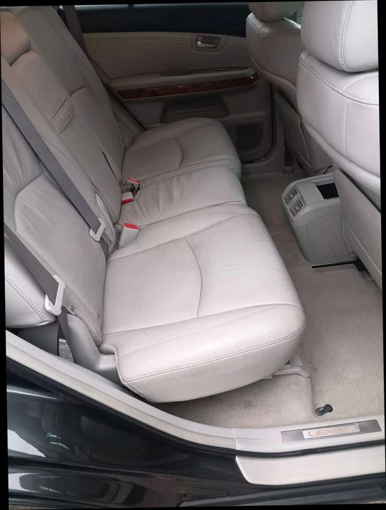 2009 Lexus RX 3rd Gen - Image 18 of 20