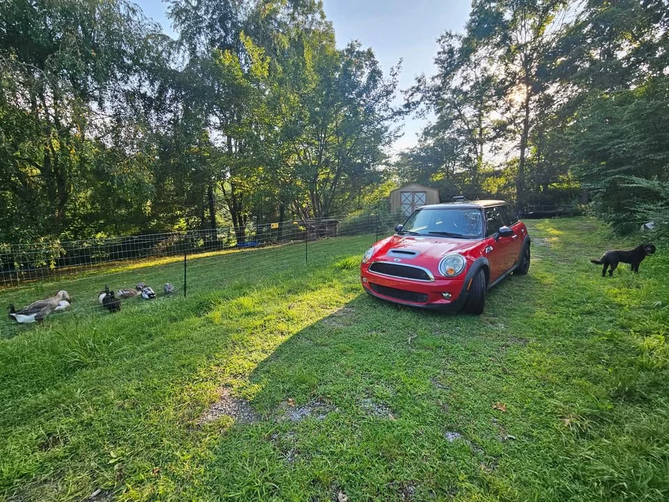 2009 Mini Mini 2nd Gen - Image 17 of 17