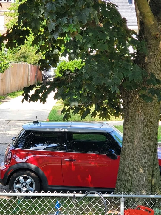 2009 Mini Coupe & Roadster - Image 2 of 9