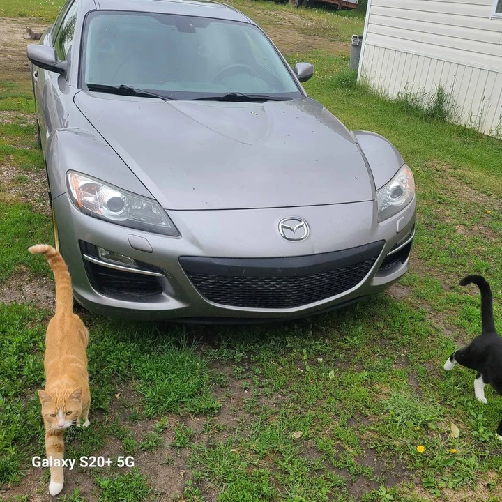 2009 Mazda RX-8 2nd Gen - Image 3 of 12