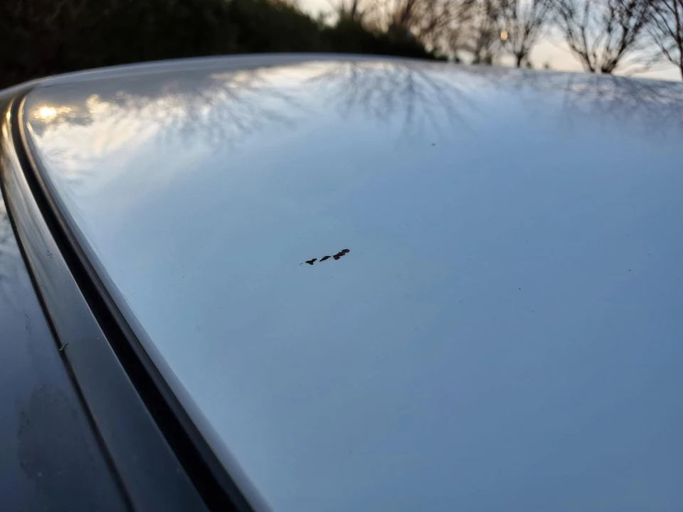 2009 Mazda Mazdaspeed 3 1st Gen - Image 10 of 31