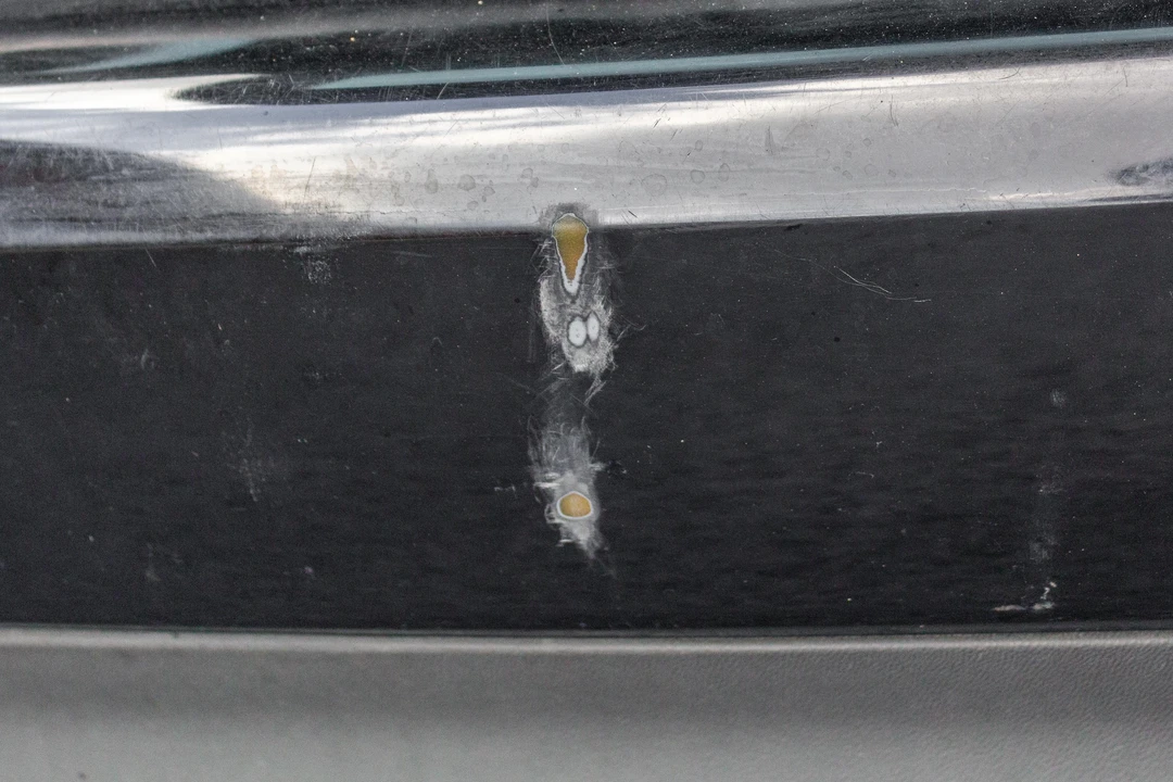 2009 Mercedes-Benz W211 E 55 & E 63 AMG - Image 21 of 31