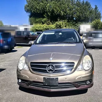 2009 Mercedes-Benz R320