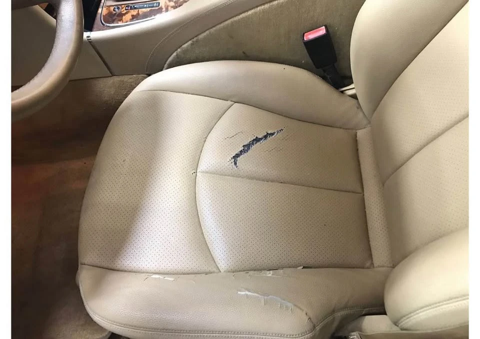 2009 Mercedes-Benz W211 E-Class - Image 16 of 16