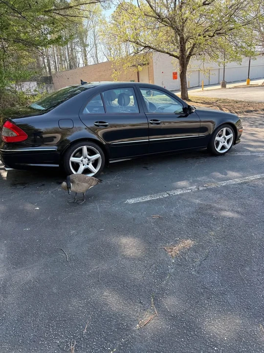 2009 Mercedes-Benz W211 E-Class - Image 4 of 19